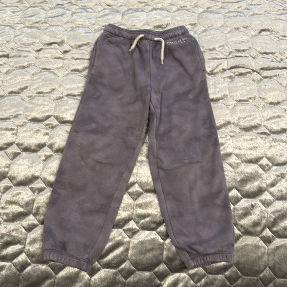 Gap pants
